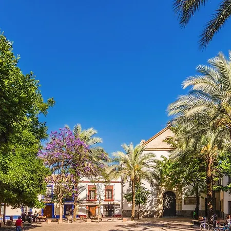 2 Bedroom Lovely In Appartement