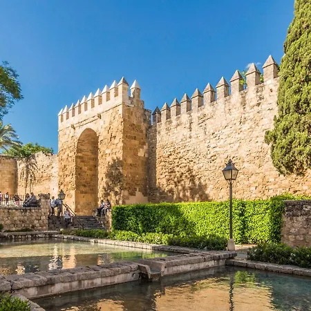 Appartement 2 Bedroom Lovely In